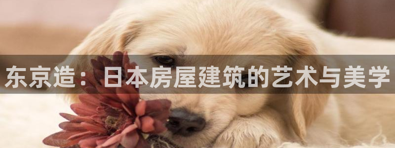 安信12平台：东京造：日本房屋建筑的艺术与美学