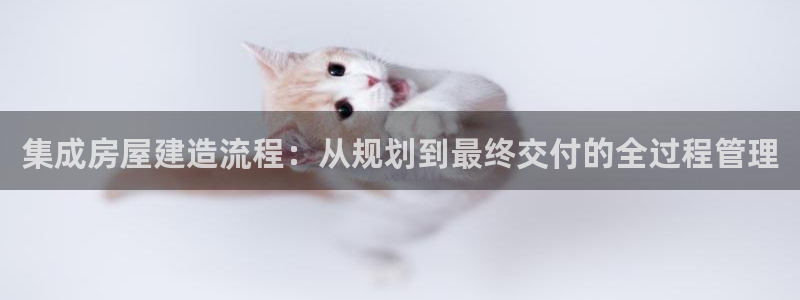 信安12乐打棒：集成房屋建造流程：从规划到最终交付的全过程管理