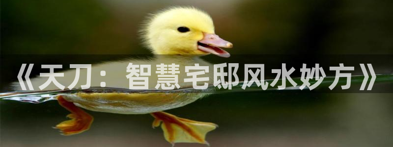 安信安赢12号：《天刀：智慧宅邸风水妙方》