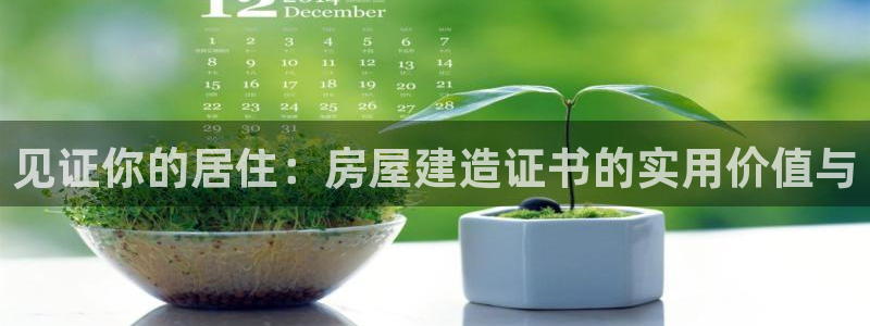 安信娱乐12登录地址：见证你的居住：房屋建造证书的实用价值与