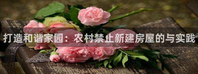 安信122853179Z空间：打造和谐家园：农村禁止新建房屋的与实践