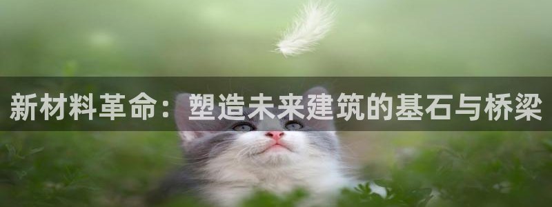 安信esp12：新材料革命：塑造未来建筑的基石与桥梁