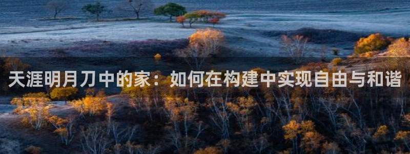 安信12登录网址：天涯明月刀中的家：如何在构建中实现自由与和谐