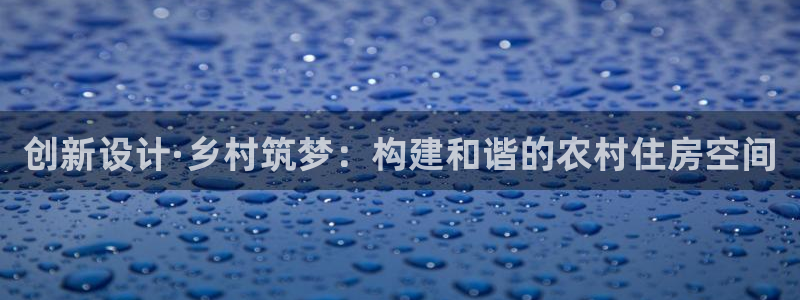 安信312 12：创新设计·乡村筑梦：构建和谐的农村住房空间