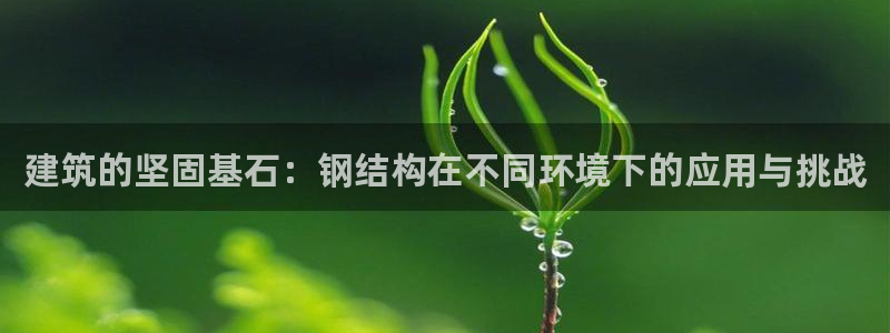安信12平台介绍：建筑的坚固基石：钢结构在不同环境下的应用与挑战