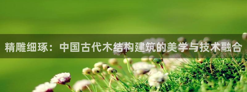 安信12正版下载：精雕细琢：中国古代木结构建筑的美学与技术融合