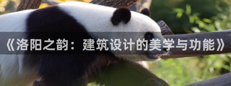 安信12彩票：《洛阳之韵：建筑设计的美学与功能》