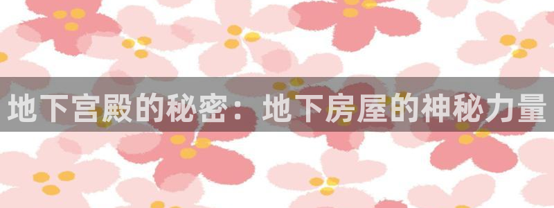 安信12平台开户：地下宫殿的秘密：地下房屋的神秘力量