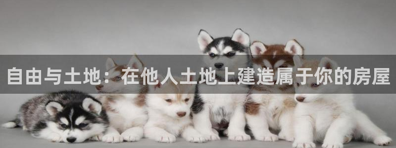 安信12专用挂机：自由与土地：在他人土地上建造属于你的房屋