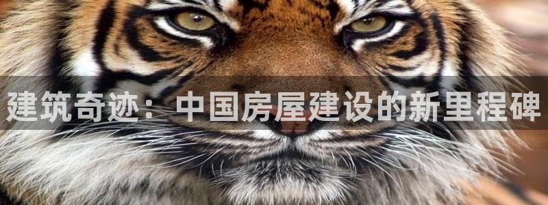 安信安赢12号：建筑奇迹：中国房屋建设的新里程碑