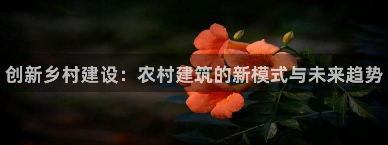 安信地板12mm：创新乡村建设：农村建筑的新模式与未来趋势