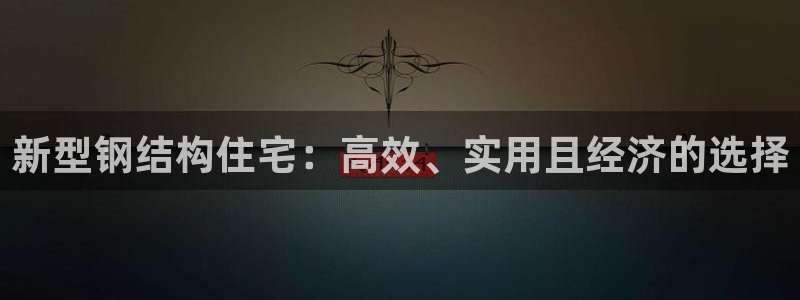 安信t12：新型钢结构住宅：高效、实用且经济的选择