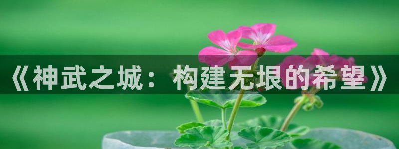安信锐赢134号12月：《神武之城：构建无垠的希望》