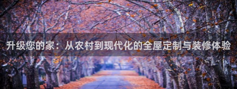 安信12是做什么：升级您的家：从农村到现代化的全屋定制与装修体验