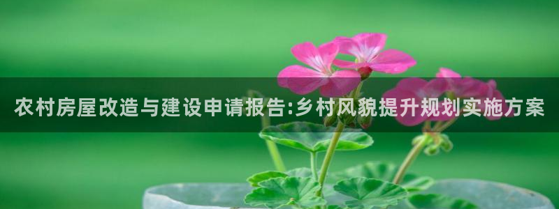 安信12app：农村房屋改造与建设申请报告:乡村风貌提升规划实施方案