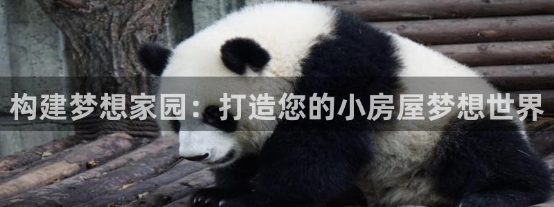 安信12：构建梦想家园：打造您的小房屋梦想世界