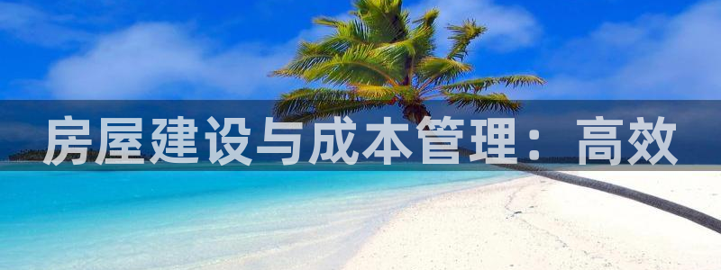 安信12登录地址：房屋建设与成本管理：高效