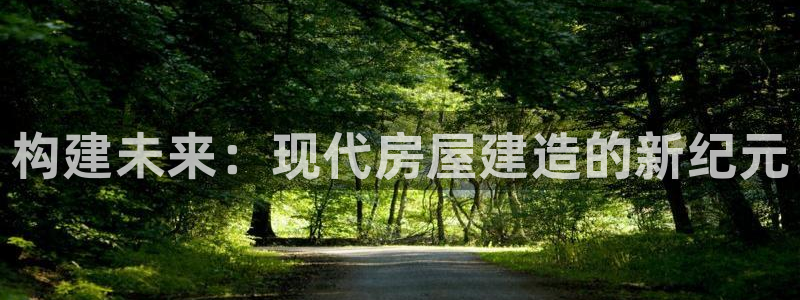 安信12娱乐7o777还：构建未来：现代房屋建造的新纪元