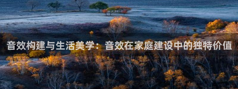 安信12：音效构建与生活美学：音效在家庭建设中的独特价值