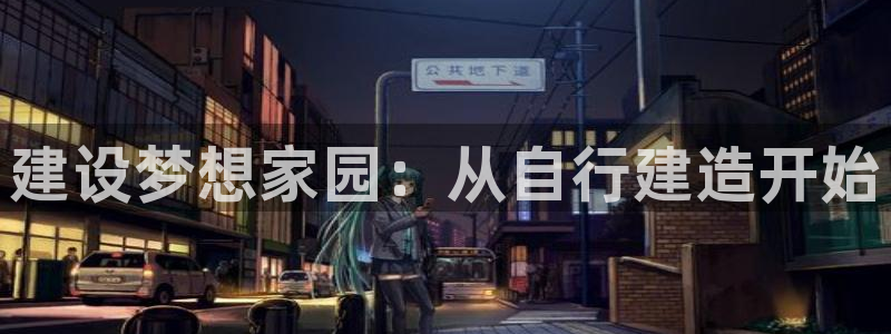 安信4特邀55 12：建设梦想家园：从自行建造开始