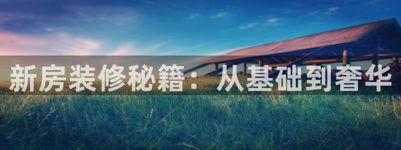安信4特邀55 12：新房装修秘籍：从基础到奢华