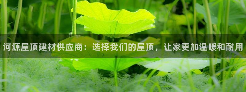 安信娱乐12登录地址：河源屋顶建材供应商：选择我们的屋顶，让家更加温暖和耐用