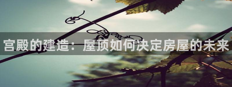 安信锐赢134号12月：宫殿的建造：屋顶如何决定房屋的未来