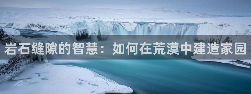 安信12级：岩石缝隙的智慧：如何在荒漠中建造家园