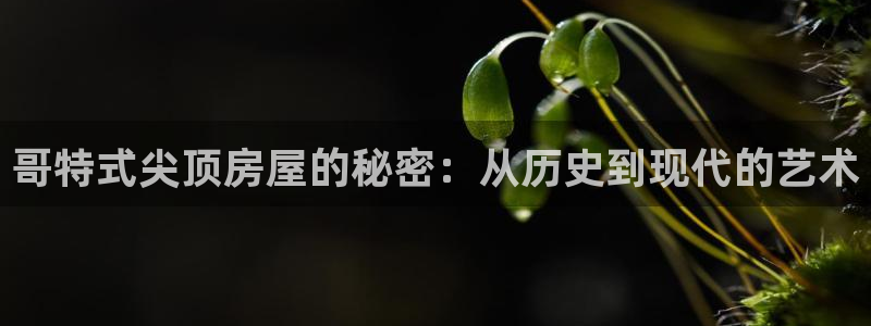 安信12平台下载：哥特式尖顶房屋的秘密：从历史到现代的艺术