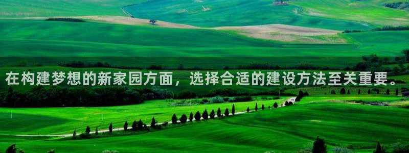 安信12挂机：在构建梦想的新家园方面，选择合适的建设方法至关重要。