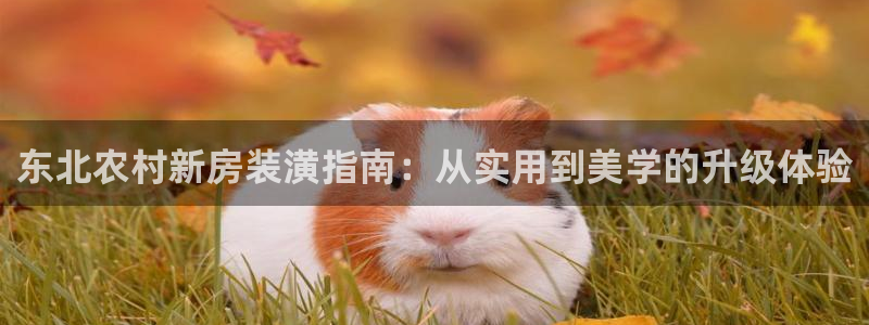 安信cw12系列：东北农村新房装潢指南：从实用到美学的升级体验