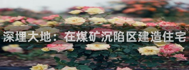 安立信T12测评：深埋大地：在煤矿沉陷区建造住宅