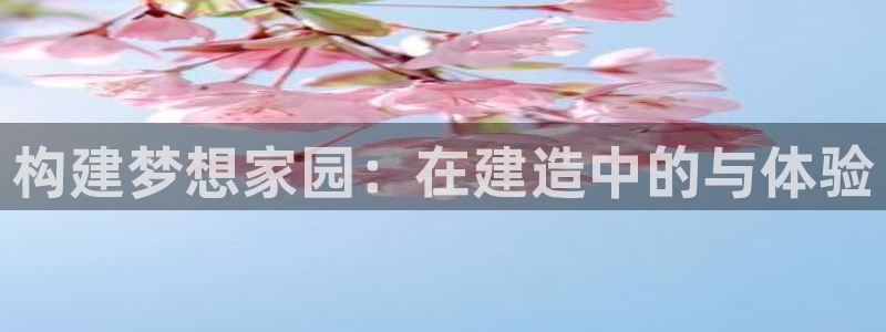 安信12注册：构建梦想家园：在建造中的与体验