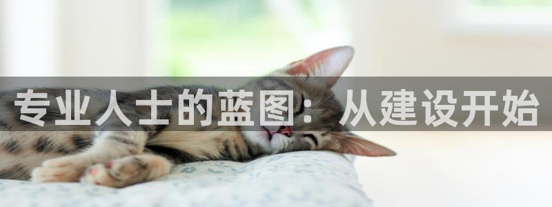 安信锐赢134号12月：专业人士的蓝图：从建设开始