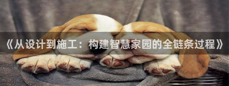 安信12靠谱吗：《从设计到施工：构建智慧家园的全链条过程》