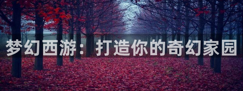 安信主管ke金12手12指ho：梦幻西游：打造你的奇幻家园