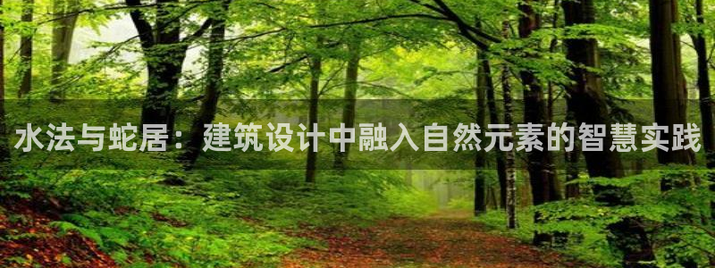 安信12是啥：水法与蛇居：建筑设计中融入自然元素的智慧实践