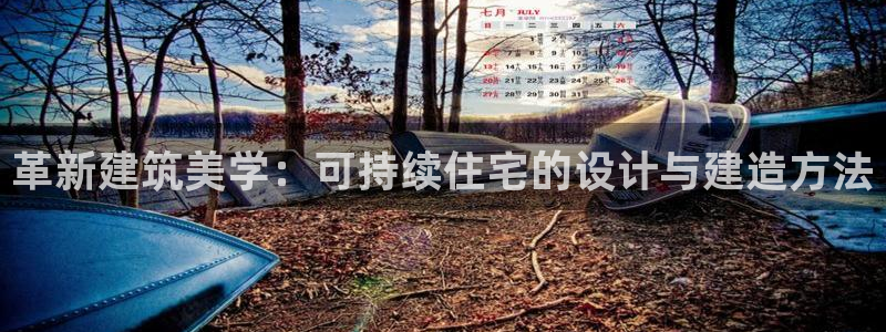 安信12登录：革新建筑美学：可持续住宅的设计与建造方法