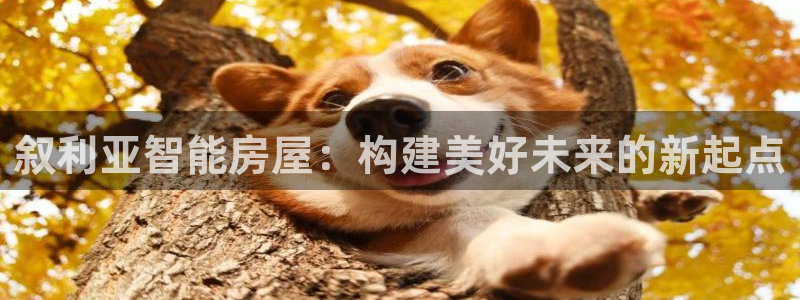 安信锐赢134号12月：叙利亚智能房屋：构建美好未来的新起点