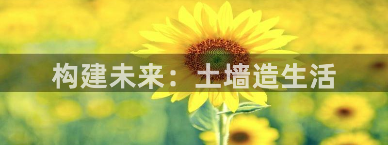 安信12如何开代理：构建未来：土墙造生活