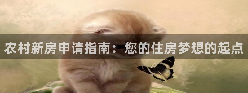 安信cw12系列：农村新房申请指南：您的住房梦想的起点