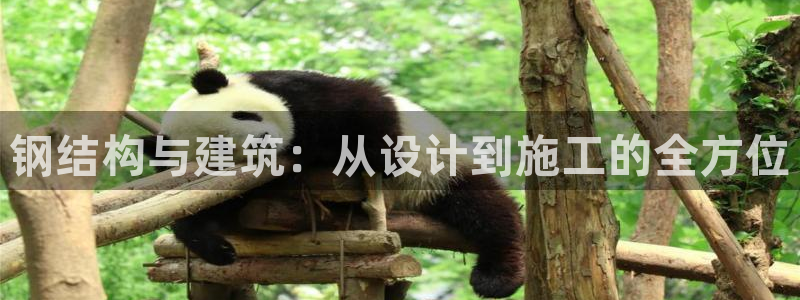 安信12是什么软件：钢结构与建筑：从设计到施工的全方位