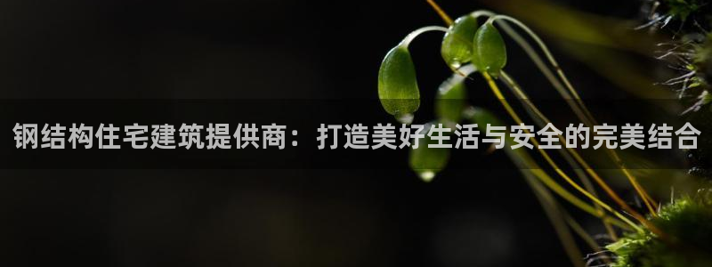 安卓12微信：钢结构住宅建筑提供商：打造美好生活与安全的完美结合