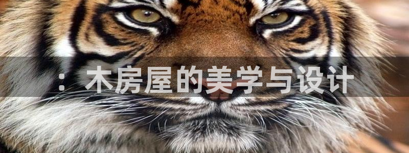 安信12招商：：木房屋的美学与设计