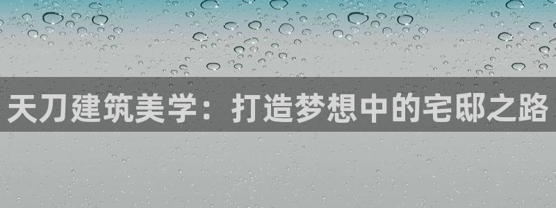 安信安赢12号：天刀建筑美学：打造梦想中的宅邸之路