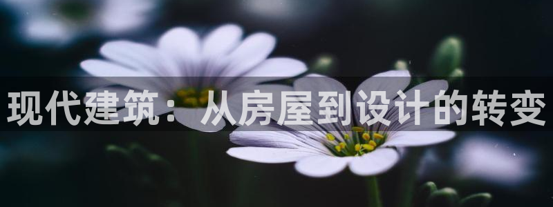 如何注销安信12软件：现代建筑：从房屋到设计的转变