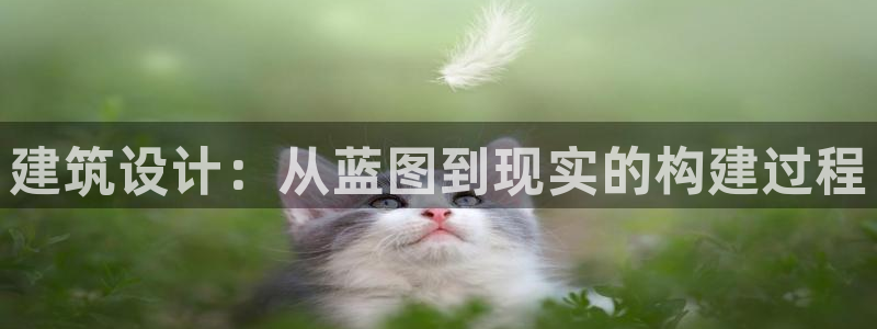 安信12娱乐代理：建筑设计：从蓝图到现实的构建过程