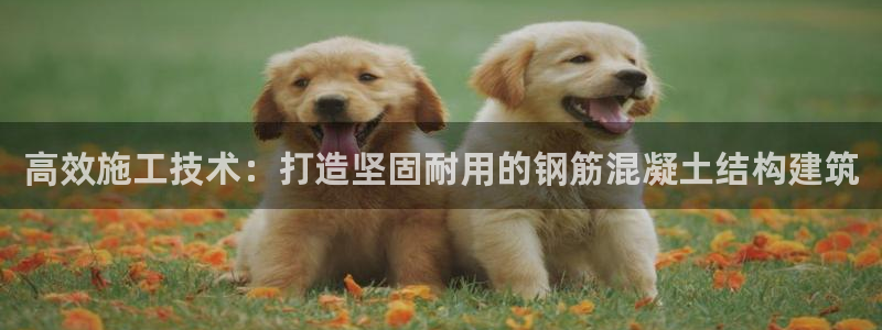 信安12：高效施工技术：打造坚固耐用的钢筋混凝土结构建筑