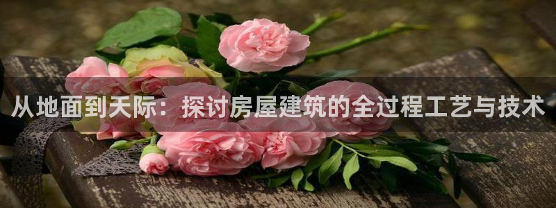 安信12下载：从地面到天际：探讨房屋建筑的全过程工艺与技术