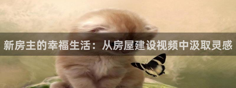安信12包赔：新房主的幸福生活：从房屋建设视频中汲取灵感
